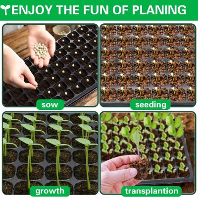 Seedling Tray 5 400x400