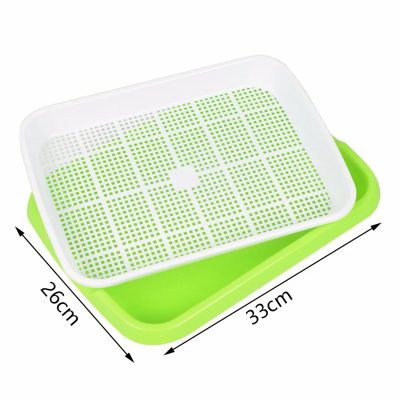 Seedling Tray 6 400x400