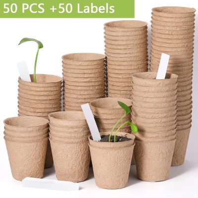 Seedling Tray 1 11 400x400