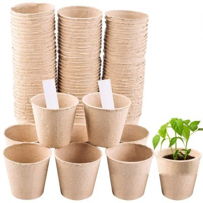 Seedling Tray 1 13 400x400
