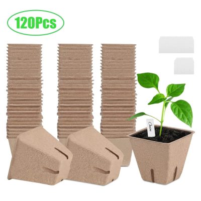 Seedling Tray 1 16 400x400