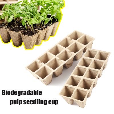 Seedling Tray 1 17 400x400