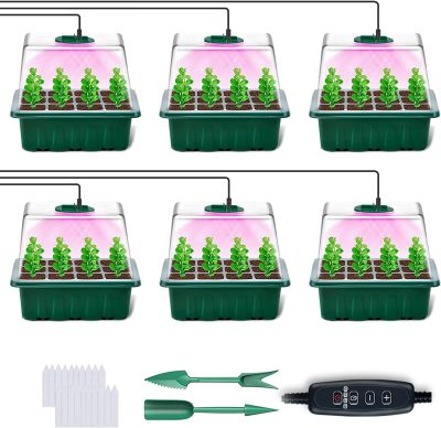 Seedling Tray 1 6 400x388