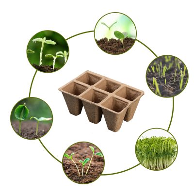 Seedling Tray 2 10 400x400