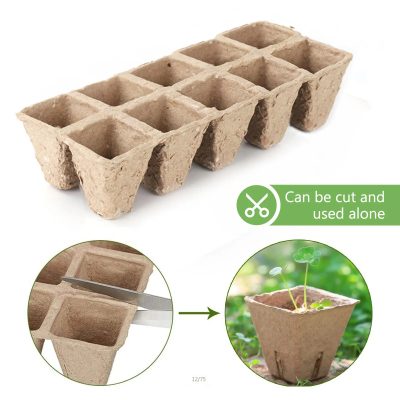 Seedling Tray 2 17 400x400
