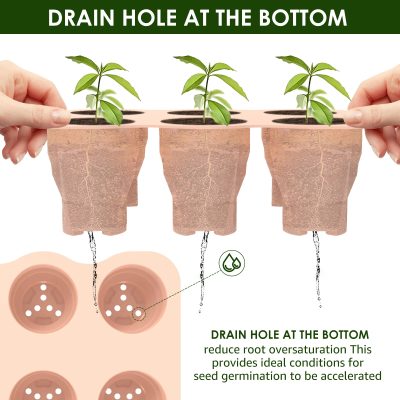Seedling Tray 2 22 400x400