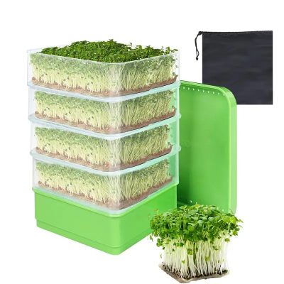 Seedling Tray 2 25 400x400