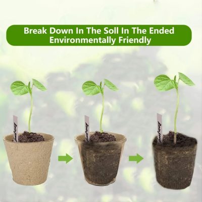 Seedling Tray 3 11 400x400