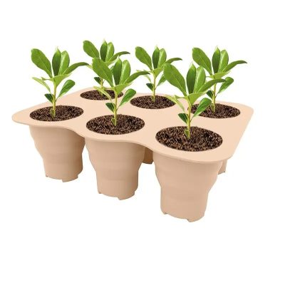 Seedling Tray 3 24 400x400