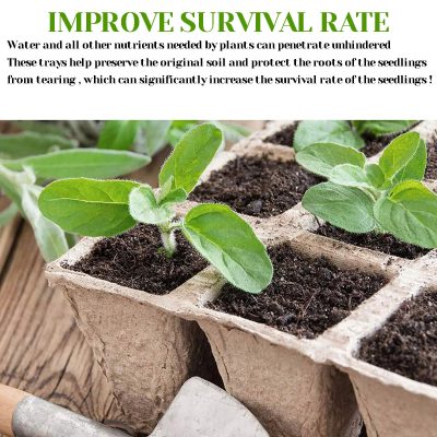 Seedling Tray 4 10 400x400
