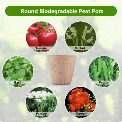 Seedling Tray 4 11 400x400