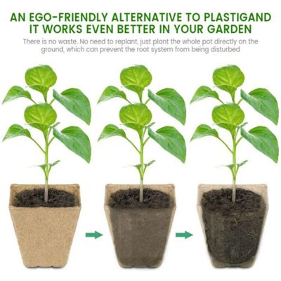 Seedling Tray 4 12 400x400