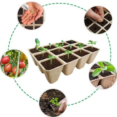 Seedling Tray 4 15 400x400