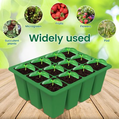 Seedling Tray 4 24 400x400