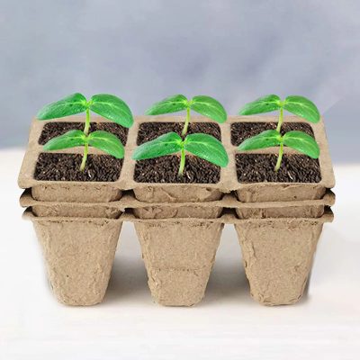 Seedling Tray 5 10 400x400