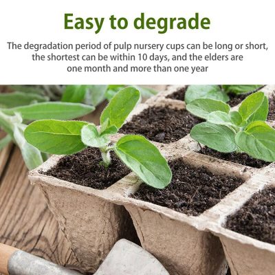Seedling Tray 5 12 400x400