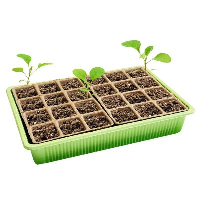 Seedling Tray 5 15 400x400