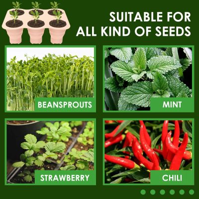 Seedling Tray 5 22 400x400