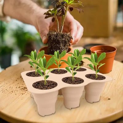 Seedling Tray 5 24 400x400