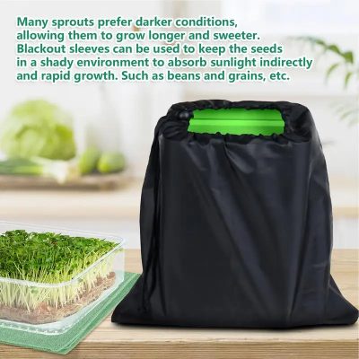 Seedling Tray 5 25 400x400