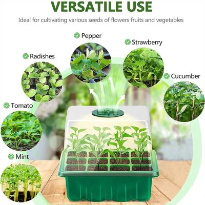 Seedling Tray 5 5 400x400