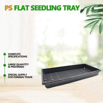 Seedling Tray 5 9 400x400