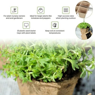 Seedling Tray 6 10 400x400