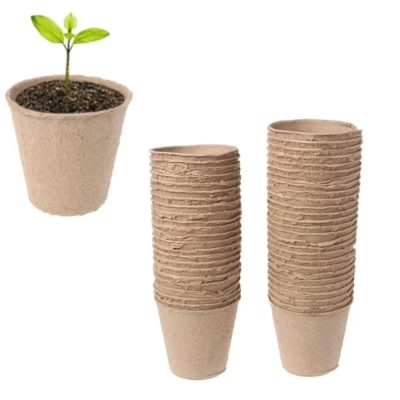 Seedling Tray 6 11 400x400