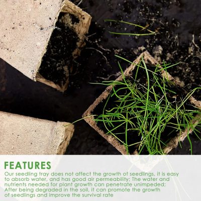 Seedling Tray 6 14 400x400