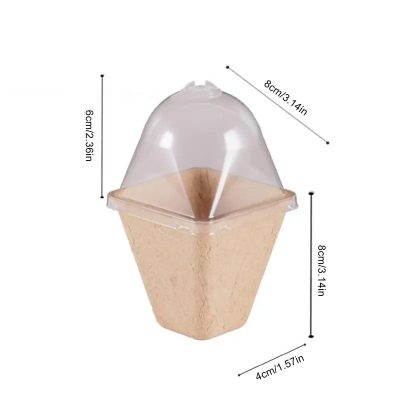 Seedling Tray 6 15 400x400