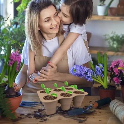 Seedling Tray 6 22 400x400