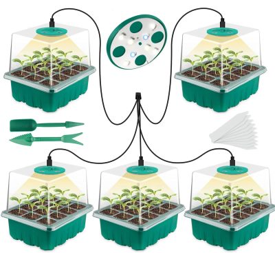Seedling Tray 6 3 400x367
