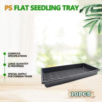 Seedling Tray 6 7 400x400