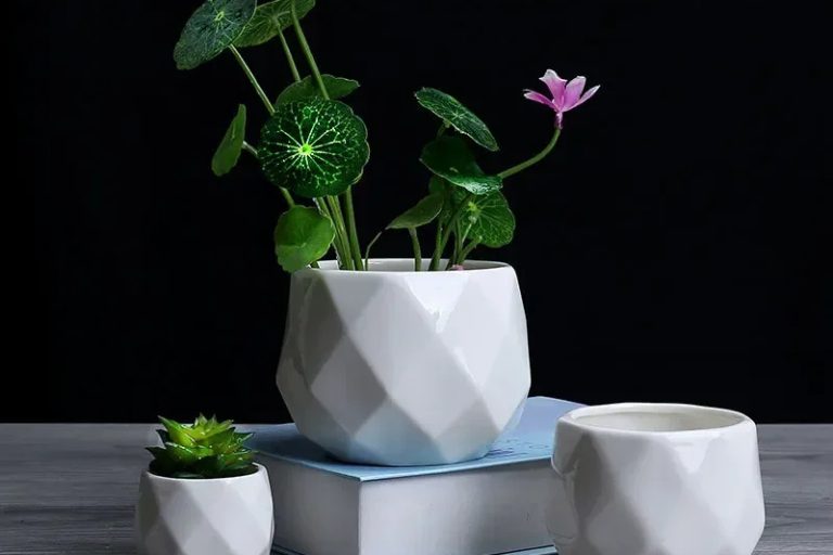 Ceramic pots (2)