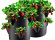 Grow bags (1)