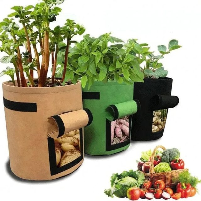 Grow bags (1)