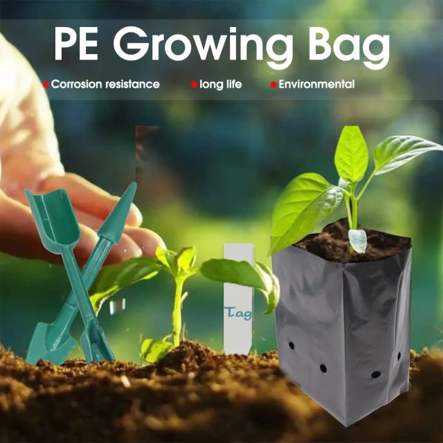 Grow bags (1)