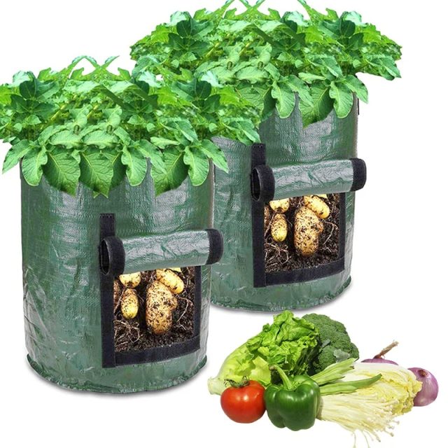 Grow bags (3)