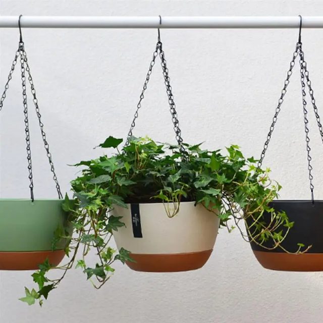Hanging Flower Pot (1) Hanging Flower Pot (1)