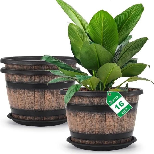 Large plastic pots (1)