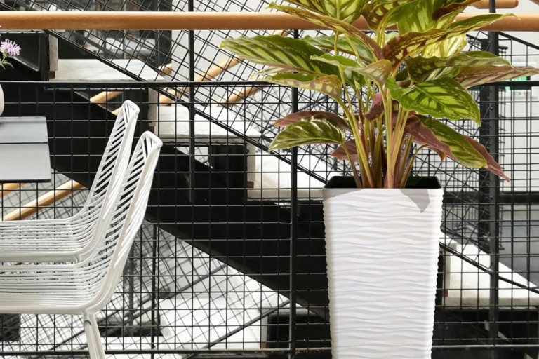 Large plastic pots (1)