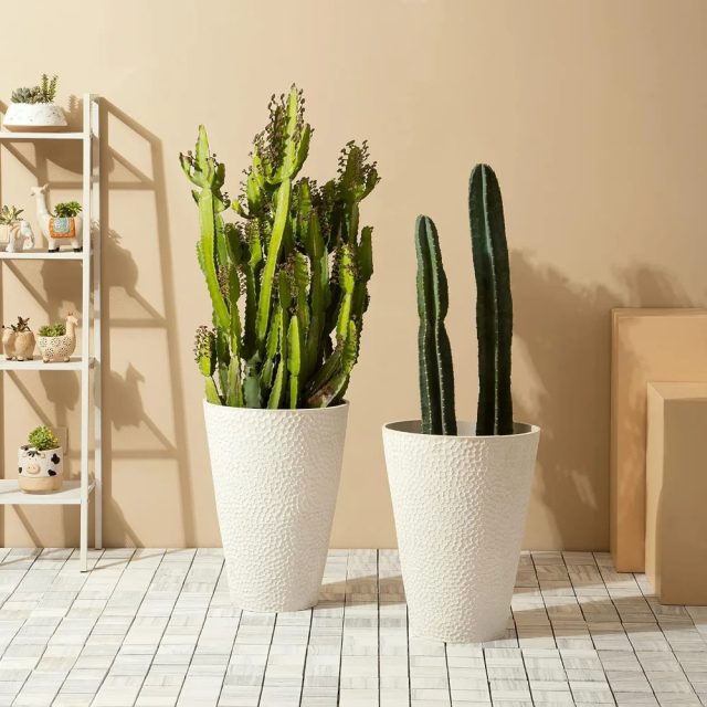 Large plastic pots (1)