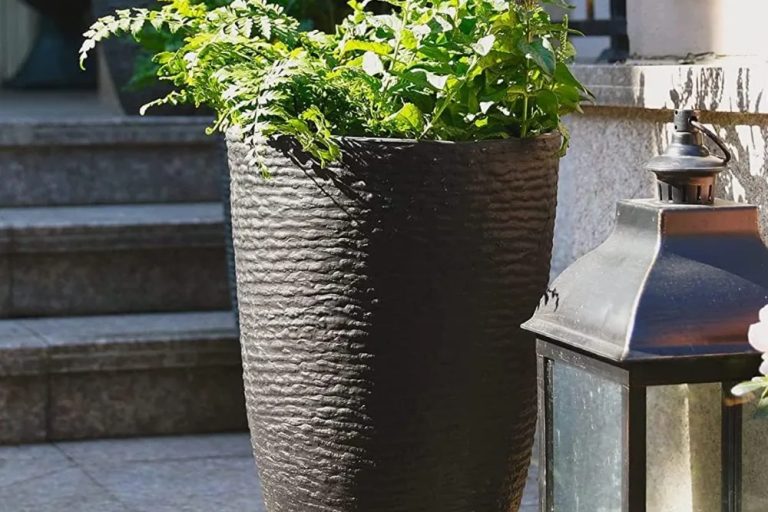 Large plastic pots (2)