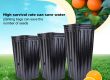 Large plastic pots (2)