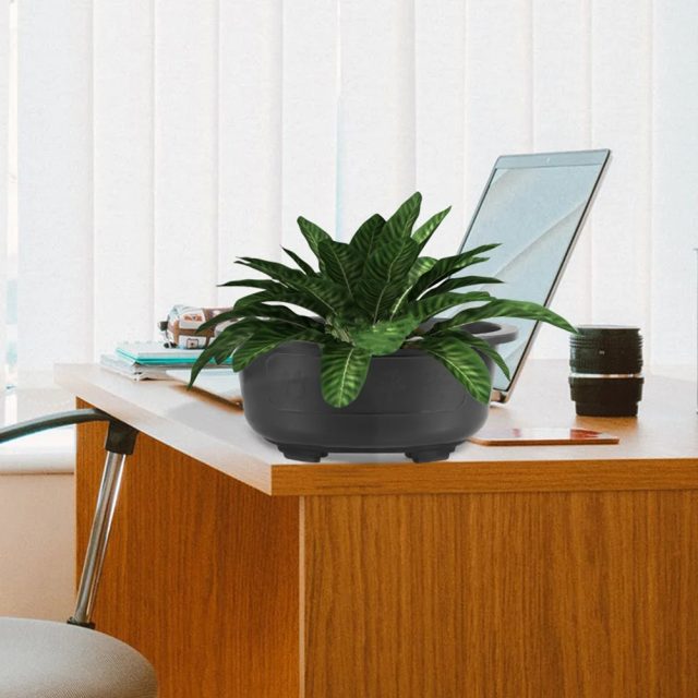 Large plastic pots (3)