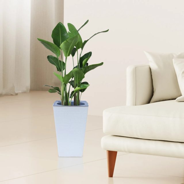 Large plastic pots (4) Large plastic pots (4)