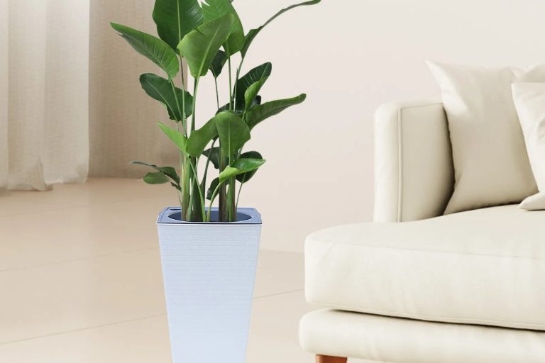 Large plastic pots (4)