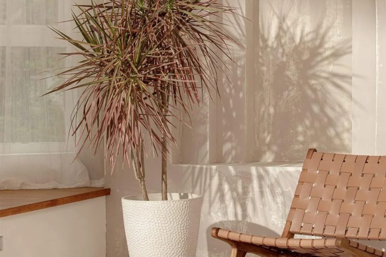 Large plastic pots (6)