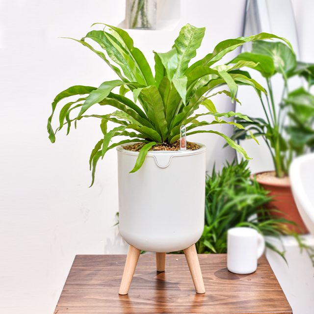 Plastic Pots (1) Plastic Pots (1)