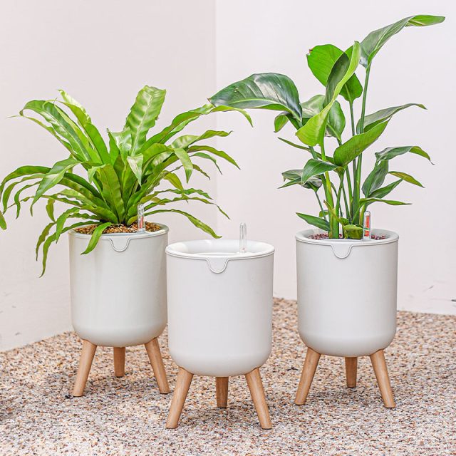 Plastic Pots (3)